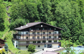 Panorama Landhaus - Joker Card included in Summer Saalbach-Hinterglemm